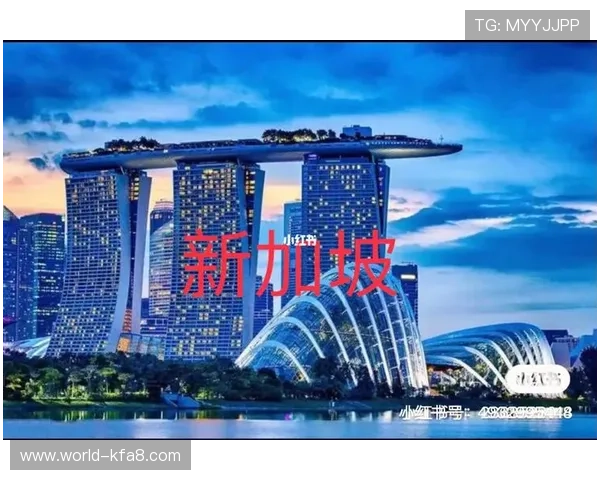 新加坡凯发集团在可持续发展方面的实践经验与未来环保战略规划