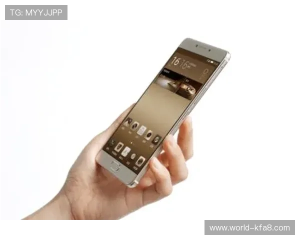 华体会官网首页登录入口安全保障措施，保障用户账号信息安全与隐私保护