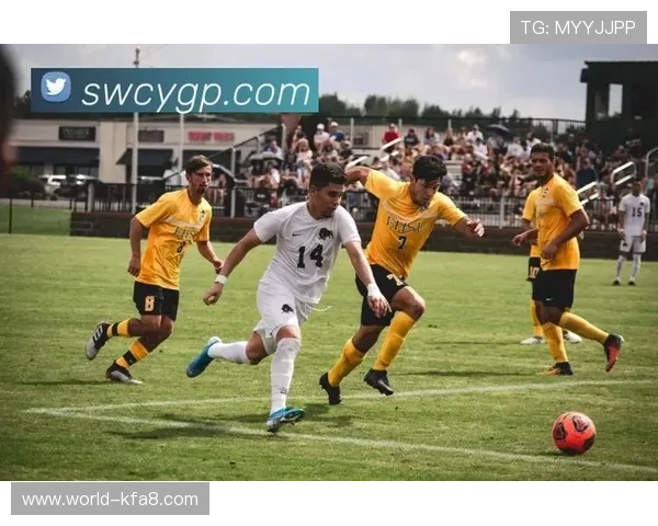 凯发在线：实时赛事直播带来沉浸式的体育娱乐享受