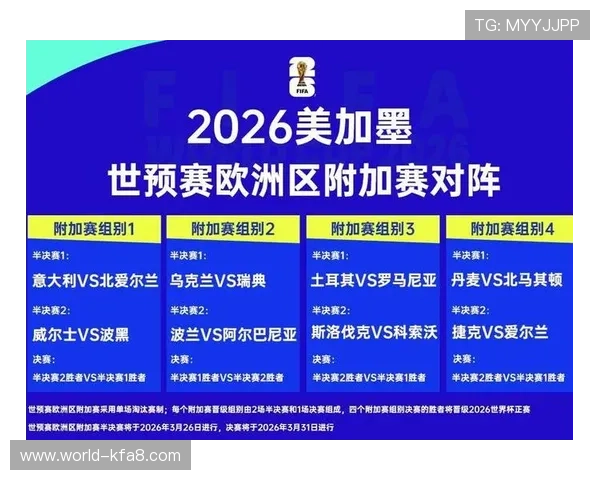 2026年世界杯举办地点全面解析未来举办城市及赛程安排